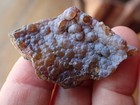 Botryoidal Fossil Coral Geode Fragment Ga Agate Amber Display Specimen Sea Wc25