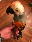 Vintage Hanging Parrot