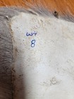 White Tail Deer Hide Hair On Hide Full Tanned Skin Leather Real Fur Taxidermy  8