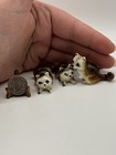 Vintage Raccoon Family Animal Trinkets Figurine Set Bone China Minis