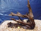 Pre-soaked Driftwood  Aquarium  Terrarium  Reptile  Natural  Art 