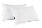 Serta Perfect Sleeper Comfy Sleep Eco-friendly Bed Pillow  2 Pack  Queen