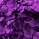 1000pcs Silk Rose Petals  Artificial Flower Wedding Vase Table Dark Purple