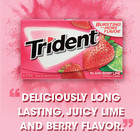 3x Packs Trident Island Berry Lime Flavor Sugar Free Gum   14 Sticks Per Pack