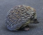 Schleich Hedgehog Animal Figure  2004  - 1    Long