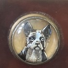 Antique French Bulldog Essex Crystal Boston Terrier Dog German Matchbox Holder