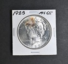 1923 Liberty Peace Silver Dollar  1 Ms Uncirculated Coin Usa