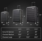 Samsonite Omni Hardside Luggage Nested Spinner Set  20  24  28   Artic Silver
