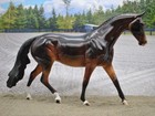 Peter Stone Dah Pony Super Pretty Glossy Dark Bay With Braided Mane