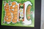 Sp20 Stained Glass Pattern Book  Flower Power  Terra Parma  2000