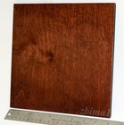 1 Lens Board 9 x 9  For Century Or Anthony 8 x10  Cameras - Ply Birch  Free Hole