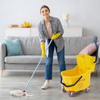 32l Commercial Mop Bucket With Side Press Wringer Yellow On 4 Swivel Casters