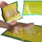 Glue Traps Non-toxic Super Sticky Insect Catcher Not For Mice  Mouse  Or Rats