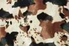 Pony Print Cowboy Style Baby Bedding Western Crib Bedding Set