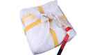 Supair Start Tandem Paragliding Reserve Round Parachute Size Tandem Best Price
