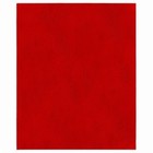 Diablo Sandnet 11 In  L X 9 In  W 80 Grit Ceramic Sanding Sheet 5 Pk