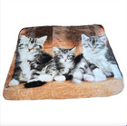 Cat Kitten Kitty Cats Plush Throw Blanket Polyester 50  X 60  New Gray White