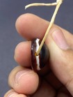 Ancient Bactrian Evil Protection Eye Agate Bead luk Mik Bead