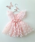 Baby Girl 1st Birthday Dress Girls Butterflies Princess Dress Pink Party Dress