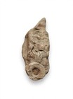 Authentic Kentucky Fossiliferous Chert - Crinoid Columnal Fossil In Matrix -   