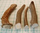 Premium Deer Antler Pieces - Dog Chews - Antlers By The Pound  One Pound - Si   