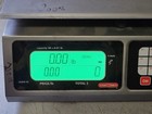 Torrey 40lb Portable Computing Price Scale L-pc-40l Tested