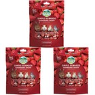 Simple Rewards Treats Rabbit Guinea Pig Chinchilla Strawberry  5 Oz 3 Pack3