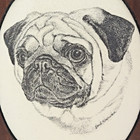 Vintage Pug Face Dog Sugared Glass On 7  Wood Plaque By Earl Sherman 1980s