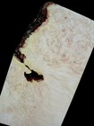 Xxl Curly Birdseye Maple Burl Wood Blank  Turning Wood  Wooden Bowl Blank