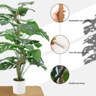 4 Pack Bendable Moss Pole 28  For Monstera Climbing Plants Support Stakes Stick