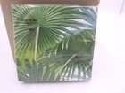 240 Pack Caspari 3-ply Cocktail Napkins Palm Fronds White 15860c