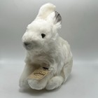 Webkinz Signature Arctic Hare Bunny Rabbit New With Sealed Unused Code Tag Rare 