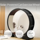 Cat Exercise Wheel  Quiet Treadmill  Pet Fitness Toy