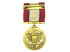 Numbered Army Distinguished Service Medal  10973