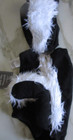 Pottery Barn Kids Halloween Costume Baby Skunk 12 24   Months  New
