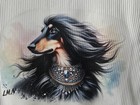 Afghan Hound  Custom Tee Shirt