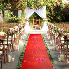 3ft X100 Ft Red Carpet Runner For Party Decorations  Special Events  Weddings