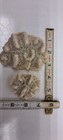 Natural Brain Coral Lot  fossil Assortment Ocean Fish Aquarium Decor 