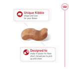 Royal Canin Breed Health Nutrition Boxer Adult Dry Dog Food  30-lb Bag
