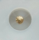 Mysia  Cyzicus Head Of Tunny 1 48th Stater Ngc Ch Fine Ancient Gold Coin Rare 
