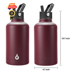 Bjpkpk Half Gallon Insulated Water Bottles With Straw 64 Ounces  Brick Red