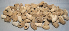Lot Of 100 Dug Civil War Fired Bullets From Port Hudson