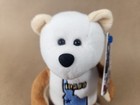 Idaho  43 Limited Treasures Coin Bear 50 States Of America Bears Nwt