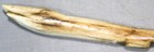 Antique Inuit Caribou Antler Zoomorphic Carving Fish Bird Effigy Alaska Native