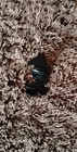 Looney Tunes Sylvester Pin Metal Enamel Set Lapel Lot Pins Cat Bugs Bunny Brooch