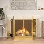 Barton 48  Fireplace Screen 3-panel Foldable Doors With 4-pieces Fireplace Tool