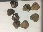 Czech Teardrop Beads Shell Beads    u Pick     Czech Drop Beads 6mm To 20mm