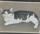 Vintage Custom Pet Portrait By Lynn Uribe Professional Frame Letter From Artist