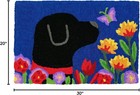 Jellybean Garden Lab Accent Rug 20x30 Washable Indoor Outdoor