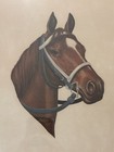Vintage 1973 Secretariat Triple Crown Letitia    73 Framed Kentucky Derby Print